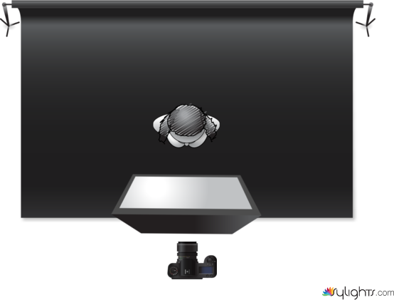 Butterfly Lighting by Guest User