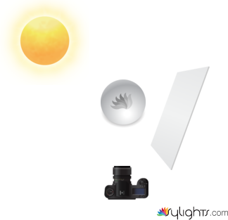 planta 1 by Guest User