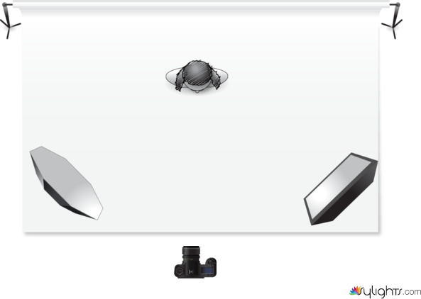 BTS MID by Guest User