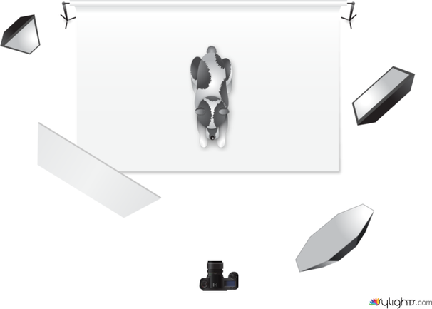 test light by Guest User