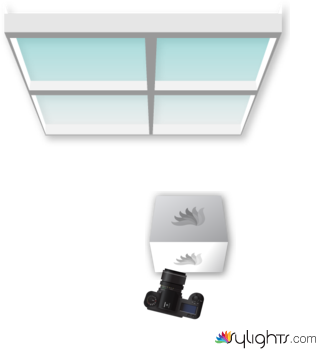 requiem11 by Guest User