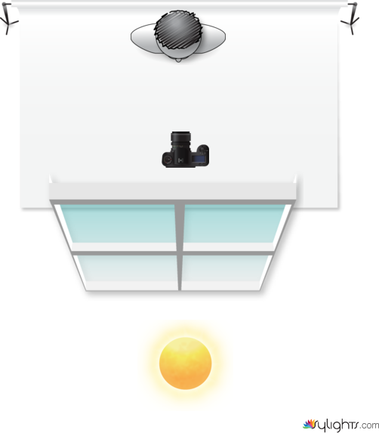 Pablo en la pared enfrente de la ventana by Guest User