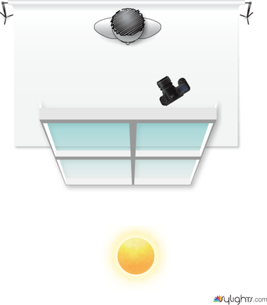 Pablo en la pared enfrente de la ventana by Guest User