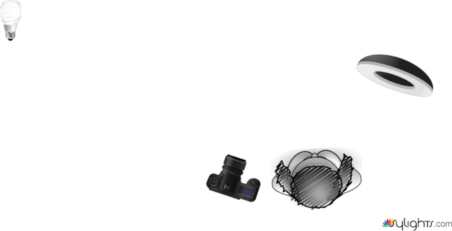 foto 2 by Guest User