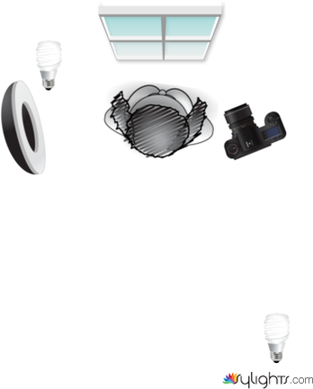 foto 2 by Guest User