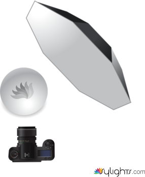 boceto by Guest User