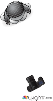 carved tree by Guest User