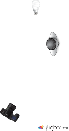 grocery store by Guest User