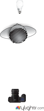 Location Portraiture  by Guest User