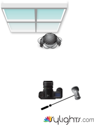 ambient light with flash  by Guest User