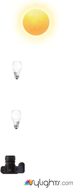 tunnel by Guest User