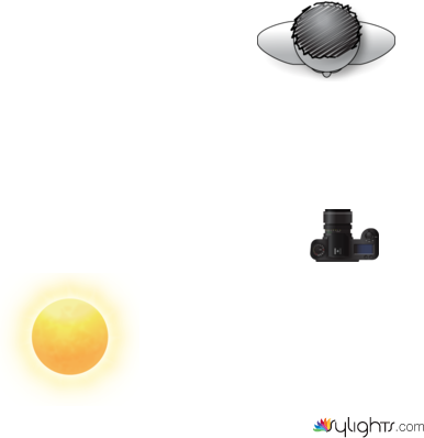 Lifestyle by Guest User