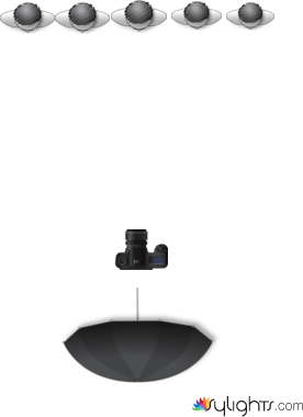 5 Group by Guest User