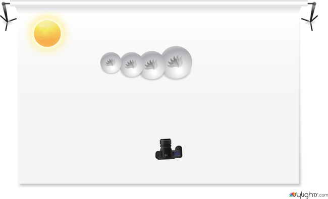 image 1 by Guest User