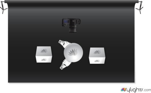 Macro Grapefruit  by Guest User