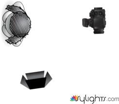 focus  by Guest User