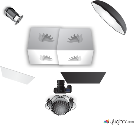 fruitschaal by Guest User