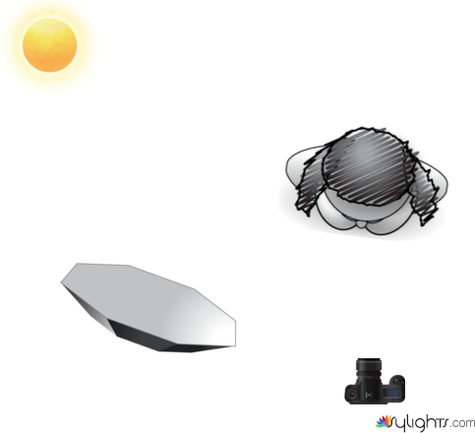 陽光與八角柔光箱 by Guest User