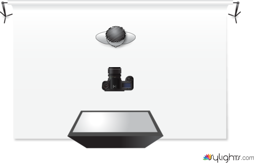 vfdsbif by Guest User