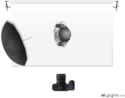 focus d'estudi by Guest User