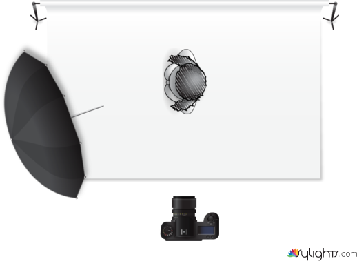 focus d'estudi by Guest User