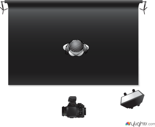 Foto 1 by Guest User