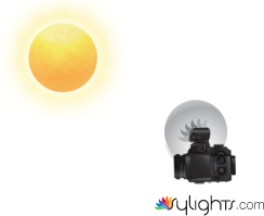 ratlla terra by Guest User