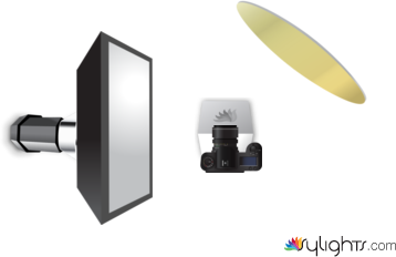 Single-Light by Guest User