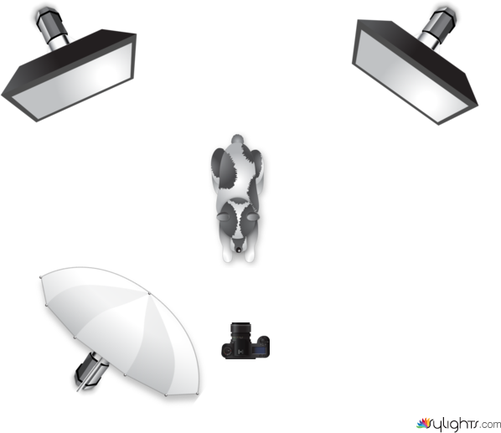 Series by Guest User