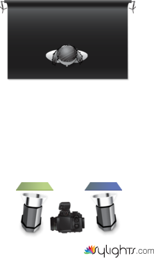 Portrait by Guest User