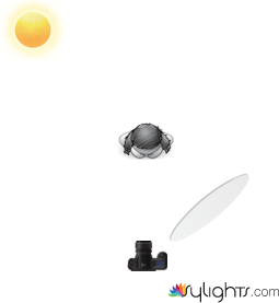 backlit shot using the sun as the key light to separate the subject from background then white circle reflector to fill the shadows  by Guest User