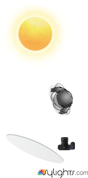 back lit  by Guest User