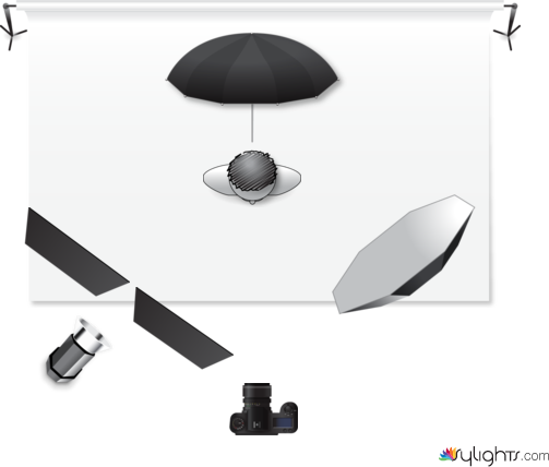 678451 by Guest User