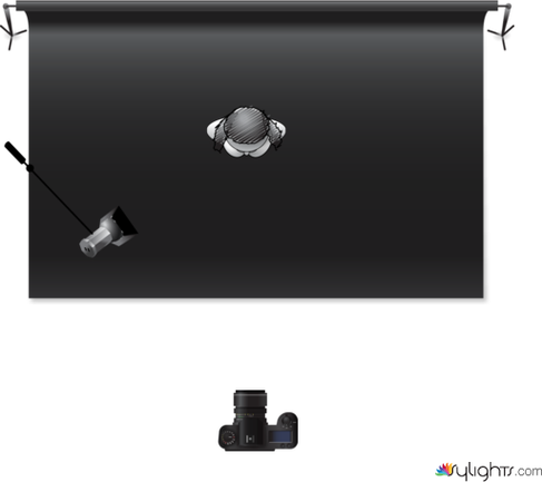 Bodyb project by Guest User