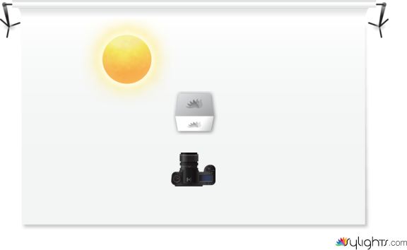 trainer sylight by Guest User