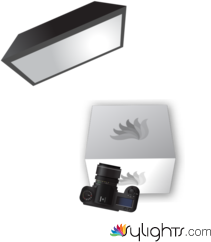 image 1 by Guest User