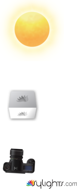 Footwear by Guest User