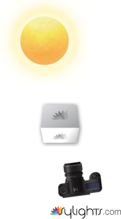 Footwear by Guest User