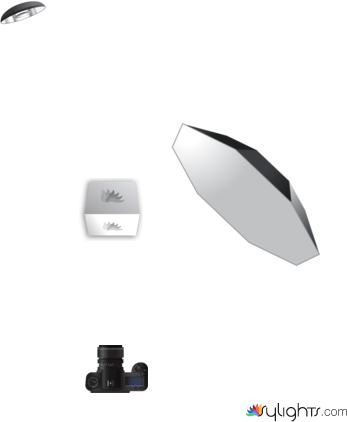 fragole by Guest User