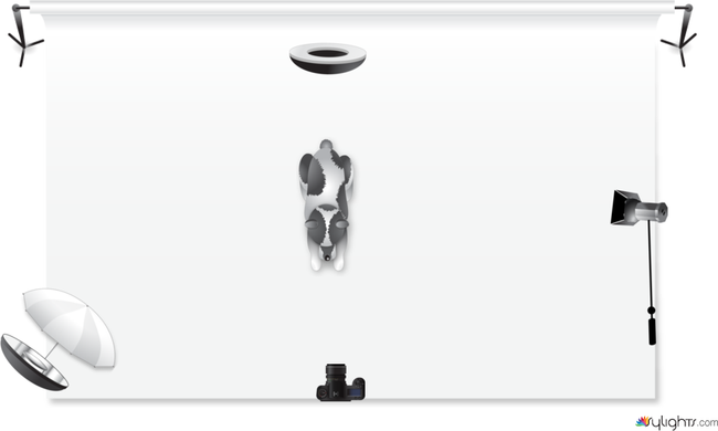 Victor by Guest User