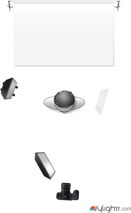 BUTTERFLY  by Guest User