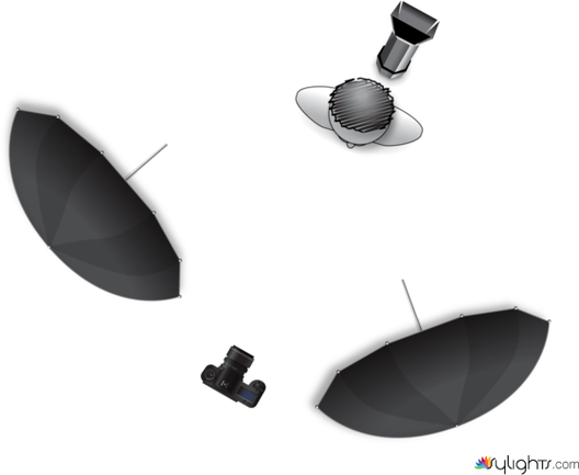 APS Board Portraits by Guest User