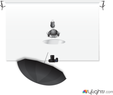 two light beaut by Guest User