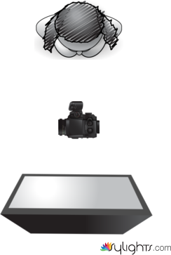 butterfly by Guest User