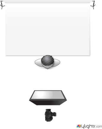 Butterfly by Guest User