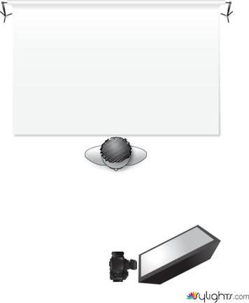 Butterfly by Guest User