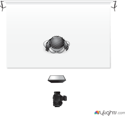 butterfly by Guest User