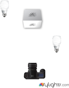 Lea So by Guest User