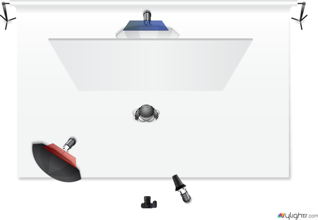 Pink Palm by Guest User