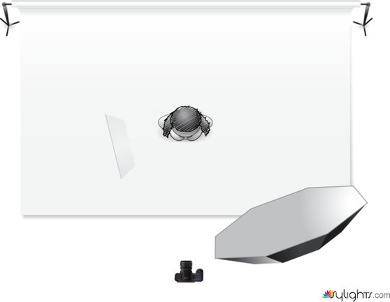 Simply plane for beauty by Guest User